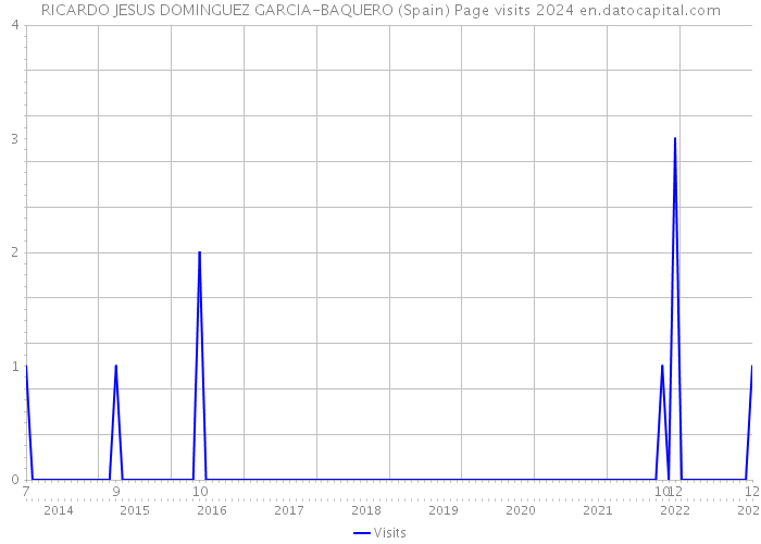 RICARDO JESUS DOMINGUEZ GARCIA-BAQUERO (Spain) Page visits 2024 