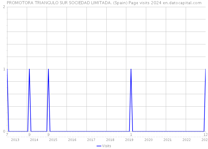 PROMOTORA TRIANGULO SUR SOCIEDAD LIMITADA. (Spain) Page visits 2024 