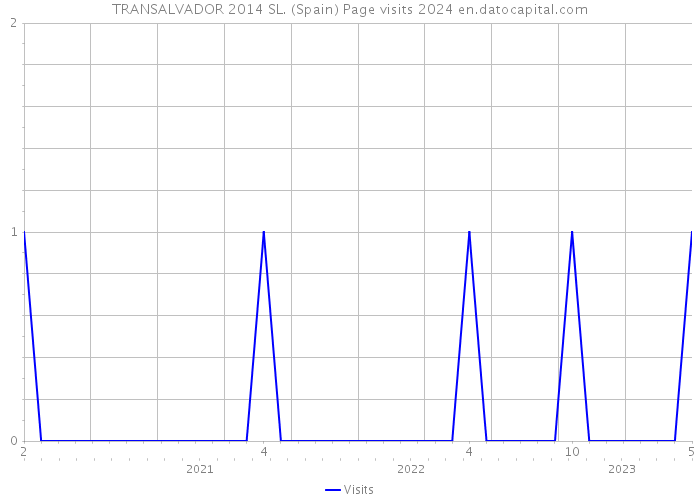 TRANSALVADOR 2014 SL. (Spain) Page visits 2024 