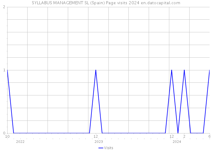 SYLLABUS MANAGEMENT SL (Spain) Page visits 2024 