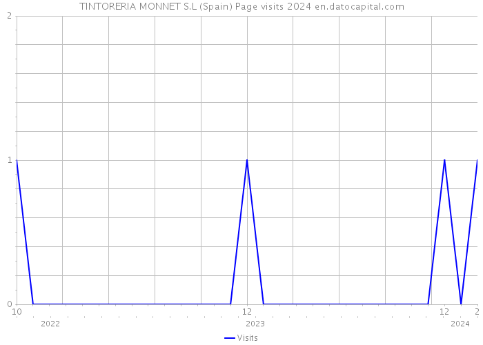 TINTORERIA MONNET S.L (Spain) Page visits 2024 