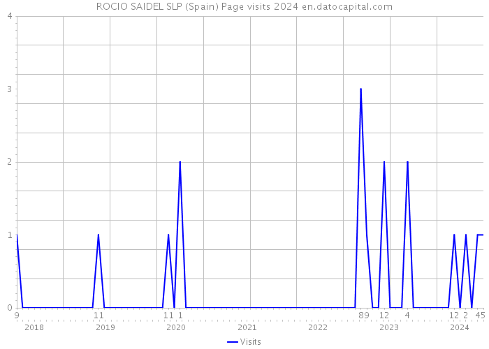 ROCIO SAIDEL SLP (Spain) Page visits 2024 