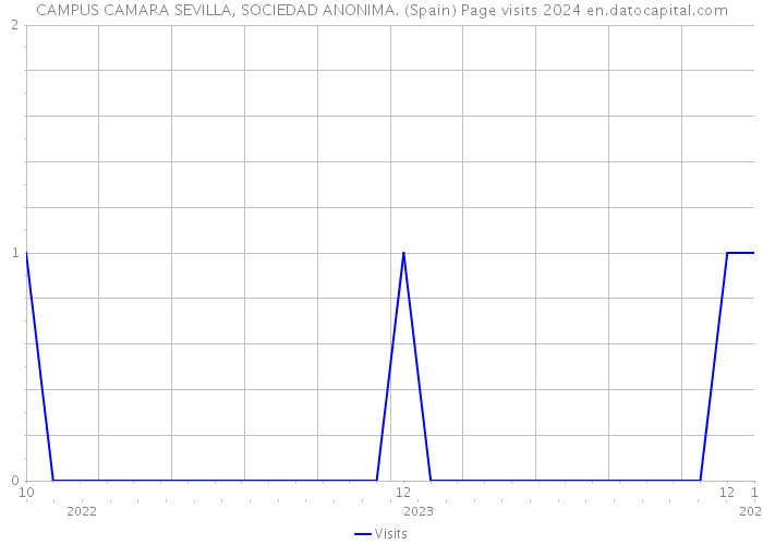 CAMPUS CAMARA SEVILLA, SOCIEDAD ANONIMA. (Spain) Page visits 2024 