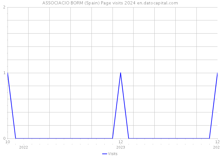 ASSOCIACIO BORM (Spain) Page visits 2024 