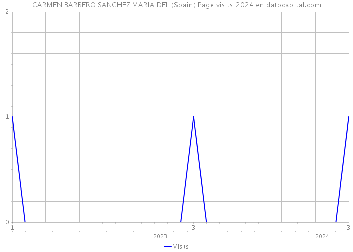 CARMEN BARBERO SANCHEZ MARIA DEL (Spain) Page visits 2024 