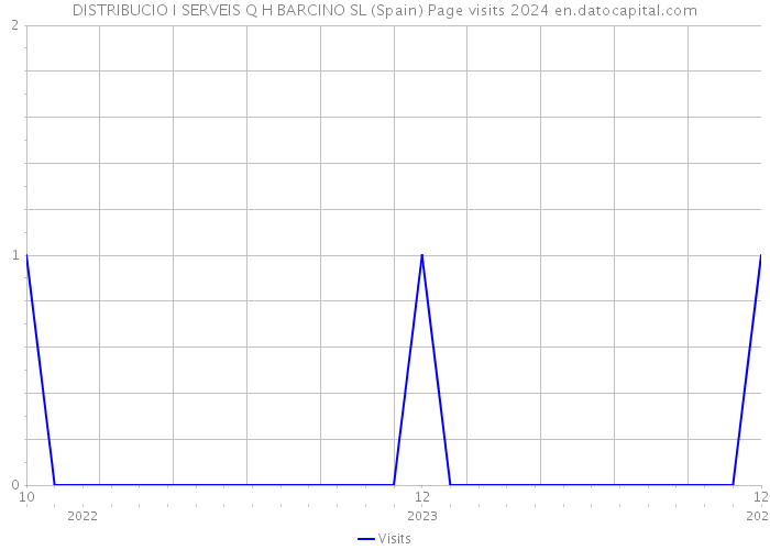 DISTRIBUCIO I SERVEIS Q H BARCINO SL (Spain) Page visits 2024 