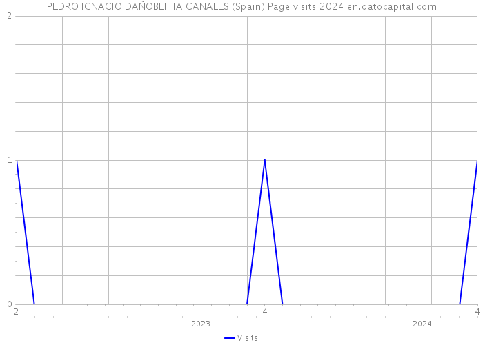PEDRO IGNACIO DAÑOBEITIA CANALES (Spain) Page visits 2024 