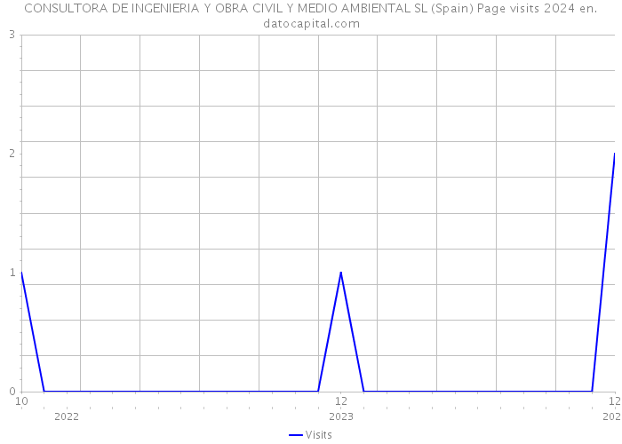 CONSULTORA DE INGENIERIA Y OBRA CIVIL Y MEDIO AMBIENTAL SL (Spain) Page visits 2024 