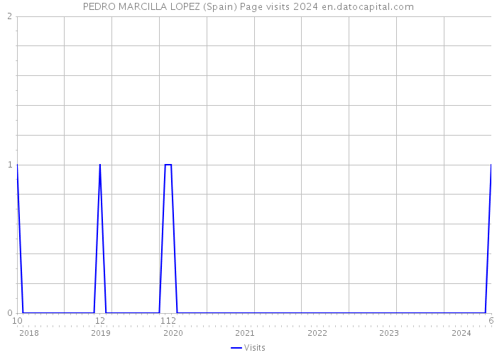 PEDRO MARCILLA LOPEZ (Spain) Page visits 2024 