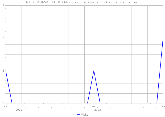 A.D. GIMNASIOS BUDOKAN (Spain) Page visits 2024 