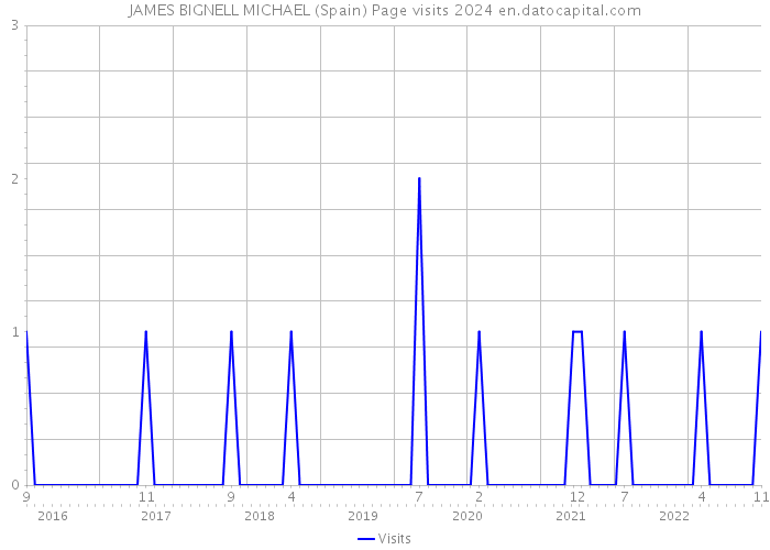 JAMES BIGNELL MICHAEL (Spain) Page visits 2024 