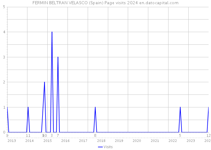 FERMIN BELTRAN VELASCO (Spain) Page visits 2024 