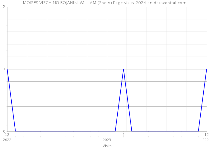 MOISES VIZCAINO BOJANINI WILLIAM (Spain) Page visits 2024 