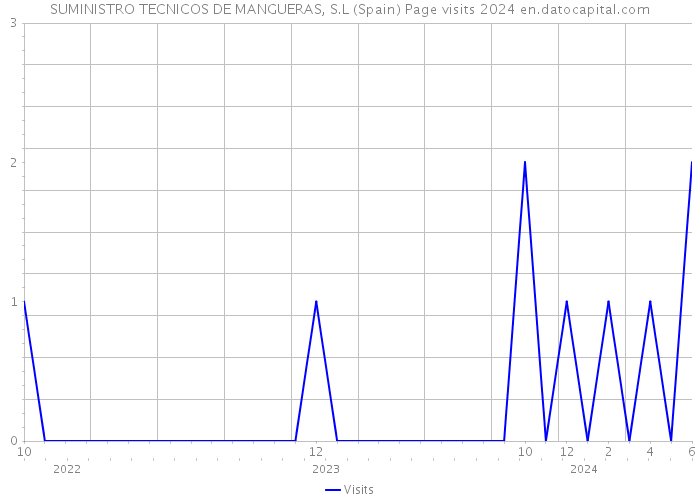 SUMINISTRO TECNICOS DE MANGUERAS, S.L (Spain) Page visits 2024 