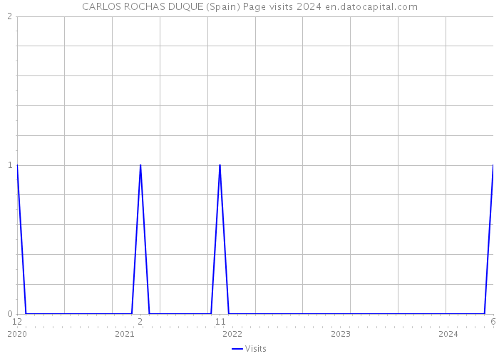 CARLOS ROCHAS DUQUE (Spain) Page visits 2024 