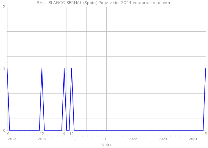 RAUL BLANCO BERNAL (Spain) Page visits 2024 