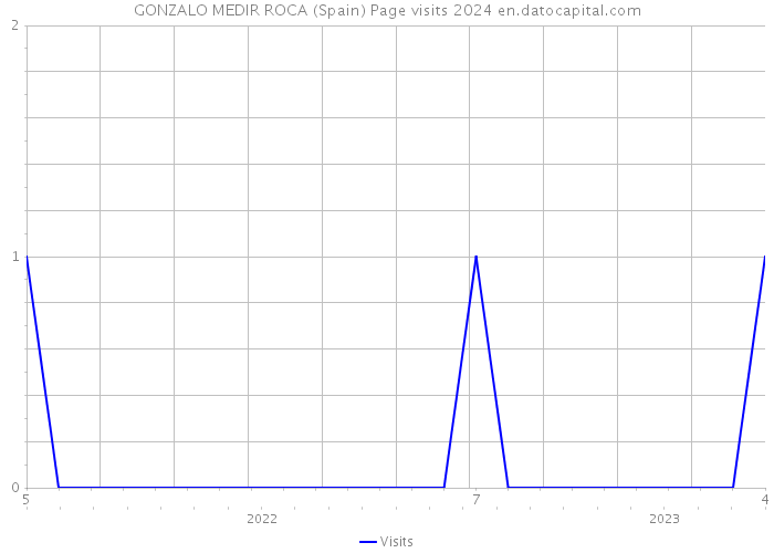 GONZALO MEDIR ROCA (Spain) Page visits 2024 