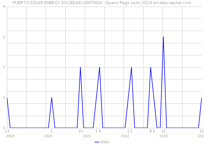 PUERTO SOLAR ENERGY SOCIEDAD LIMITADA. (Spain) Page visits 2024 