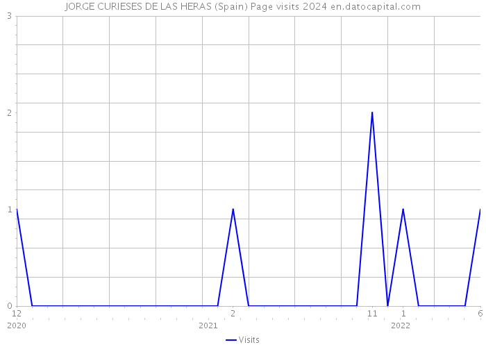 JORGE CURIESES DE LAS HERAS (Spain) Page visits 2024 