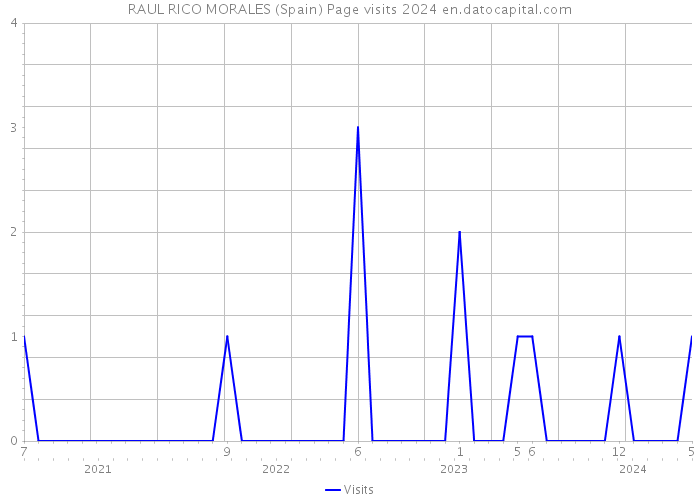 RAUL RICO MORALES (Spain) Page visits 2024 