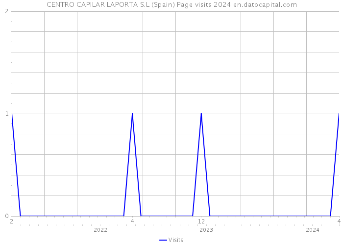 CENTRO CAPILAR LAPORTA S.L (Spain) Page visits 2024 