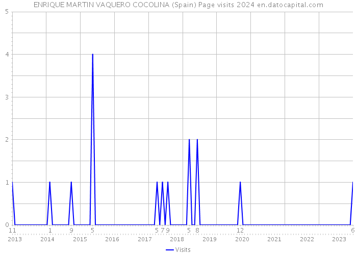 ENRIQUE MARTIN VAQUERO COCOLINA (Spain) Page visits 2024 