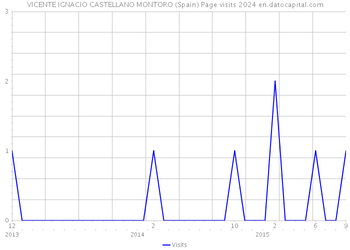 VICENTE IGNACIO CASTELLANO MONTORO (Spain) Page visits 2024 