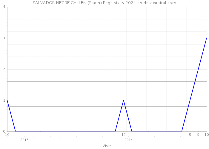 SALVADOR NEGRE GALLEN (Spain) Page visits 2024 