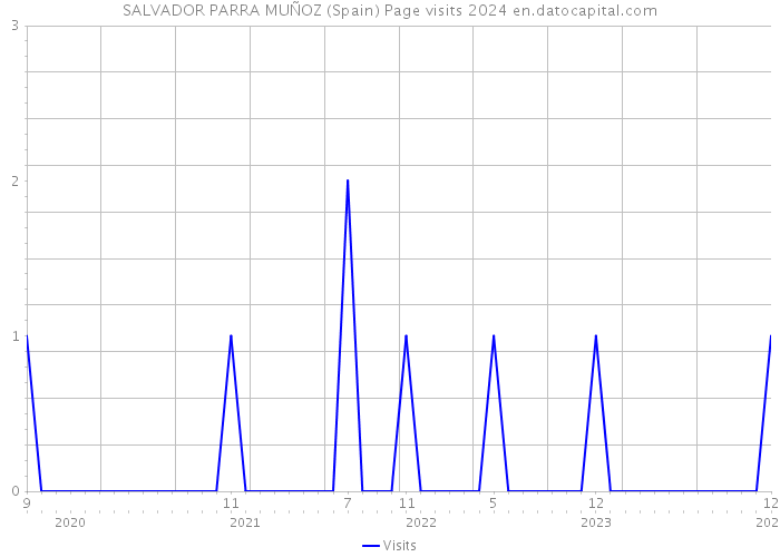 SALVADOR PARRA MUÑOZ (Spain) Page visits 2024 