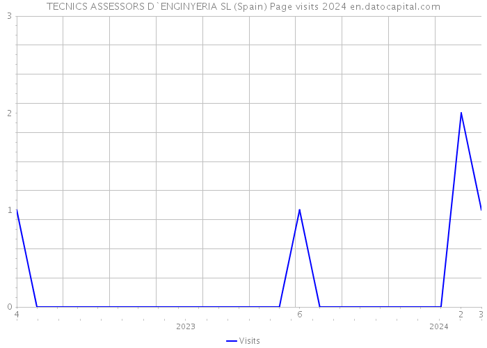 TECNICS ASSESSORS D`ENGINYERIA SL (Spain) Page visits 2024 