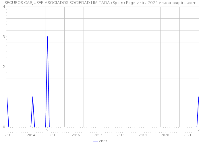 SEGUROS CARJUBER ASOCIADOS SOCIEDAD LIMITADA (Spain) Page visits 2024 