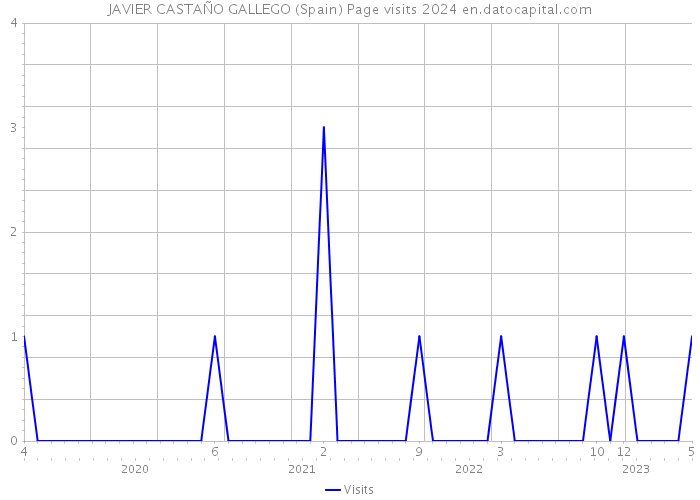 JAVIER CASTAÑO GALLEGO (Spain) Page visits 2024 