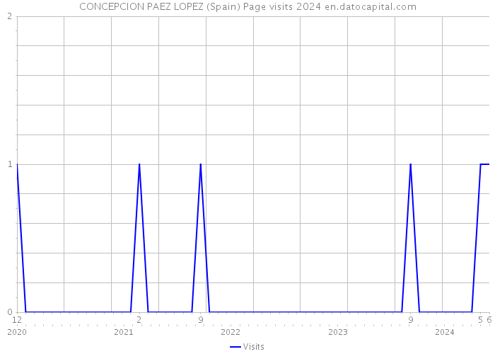 CONCEPCION PAEZ LOPEZ (Spain) Page visits 2024 