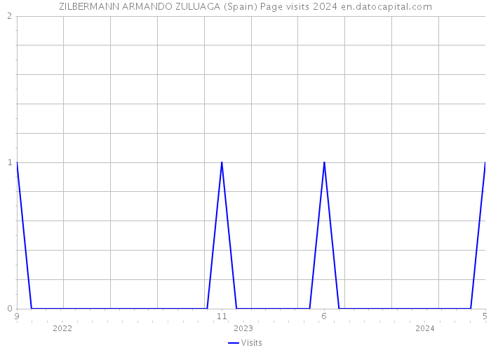 ZILBERMANN ARMANDO ZULUAGA (Spain) Page visits 2024 