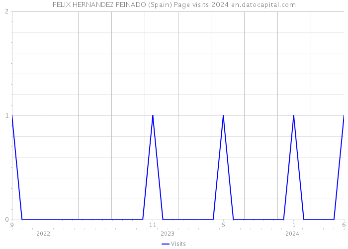FELIX HERNANDEZ PEINADO (Spain) Page visits 2024 