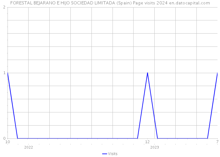 FORESTAL BEJARANO E HIJO SOCIEDAD LIMITADA (Spain) Page visits 2024 