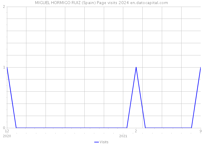 MIGUEL HORMIGO RUIZ (Spain) Page visits 2024 
