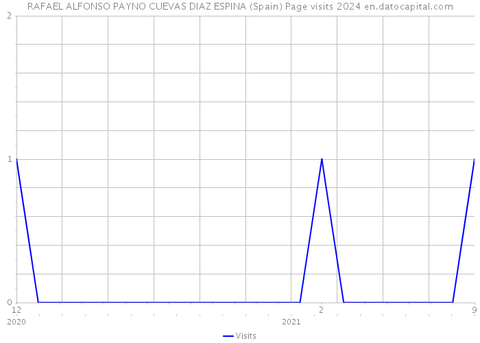 RAFAEL ALFONSO PAYNO CUEVAS DIAZ ESPINA (Spain) Page visits 2024 