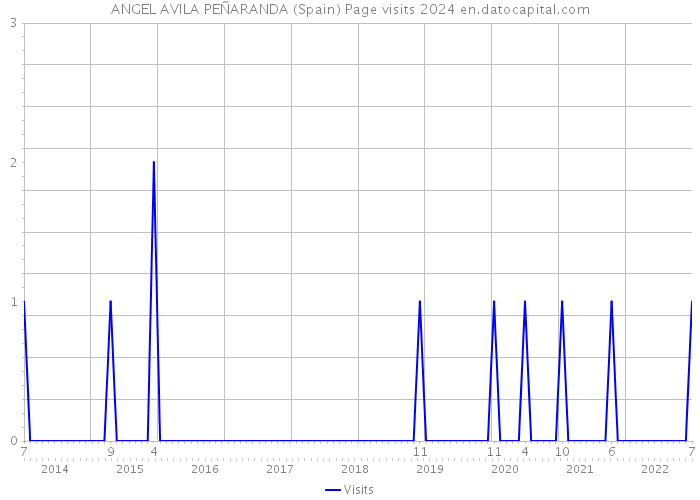 ANGEL AVILA PEÑARANDA (Spain) Page visits 2024 