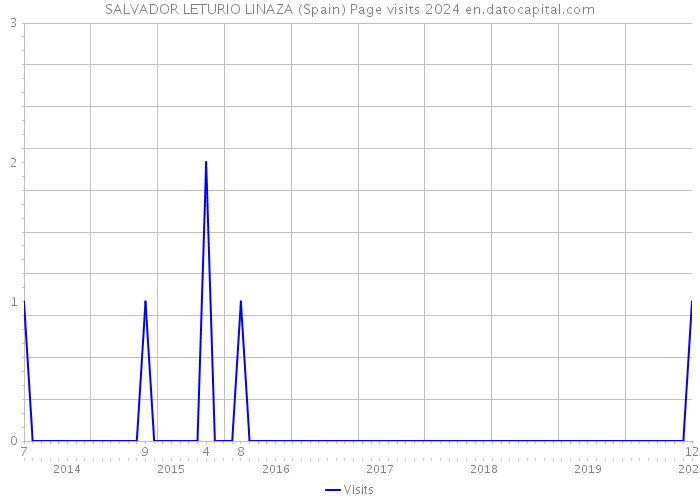 SALVADOR LETURIO LINAZA (Spain) Page visits 2024 