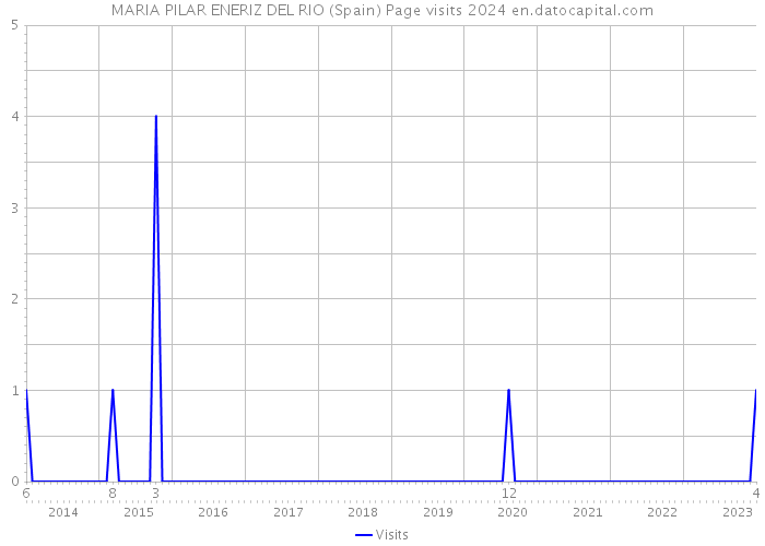 MARIA PILAR ENERIZ DEL RIO (Spain) Page visits 2024 