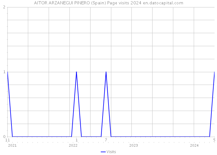 AITOR ARZANEGUI PINERO (Spain) Page visits 2024 