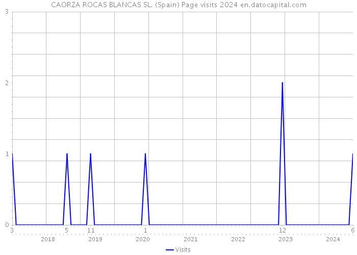 CAORZA ROCAS BLANCAS SL. (Spain) Page visits 2024 