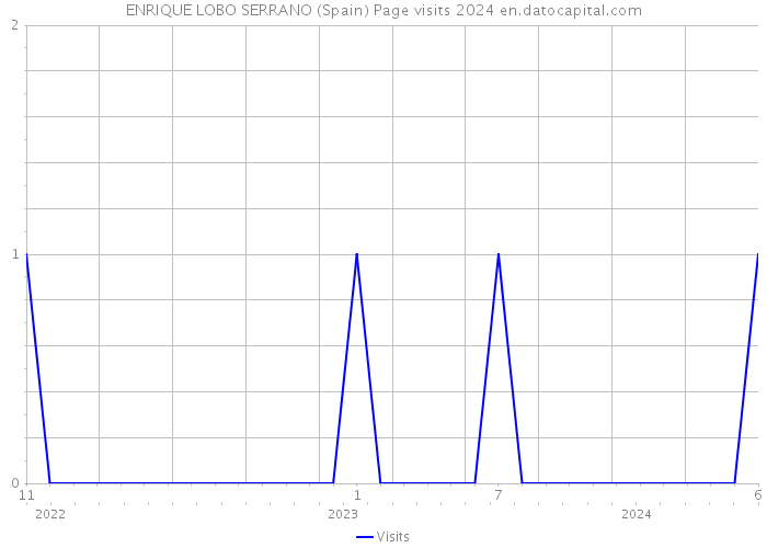 ENRIQUE LOBO SERRANO (Spain) Page visits 2024 