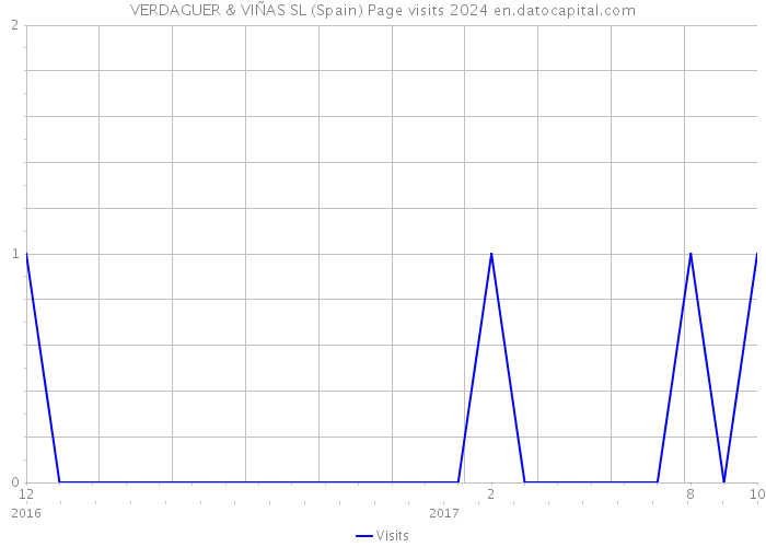VERDAGUER & VIÑAS SL (Spain) Page visits 2024 