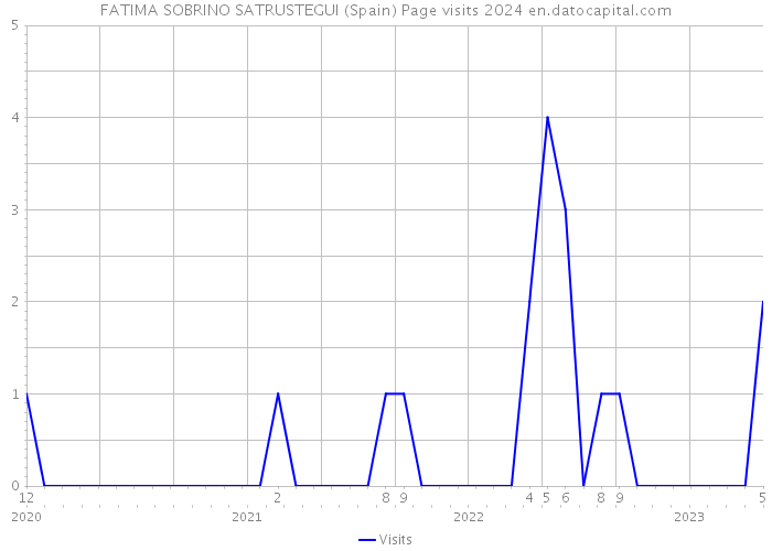 FATIMA SOBRINO SATRUSTEGUI (Spain) Page visits 2024 