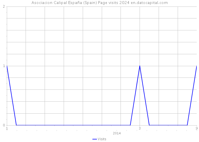 Asociacion Calipal España (Spain) Page visits 2024 