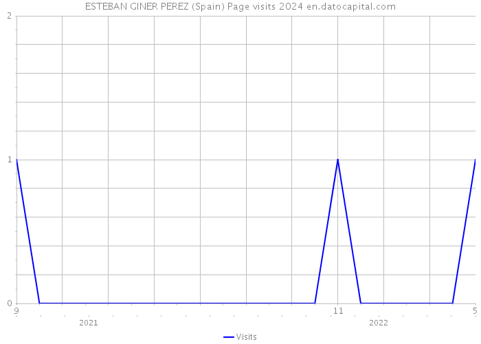 ESTEBAN GINER PEREZ (Spain) Page visits 2024 