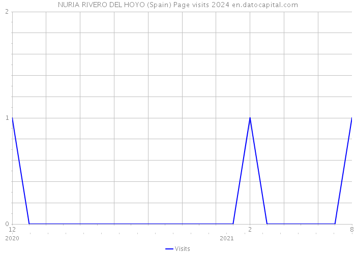 NURIA RIVERO DEL HOYO (Spain) Page visits 2024 