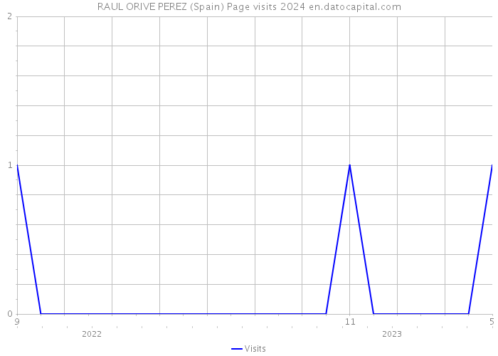 RAUL ORIVE PEREZ (Spain) Page visits 2024 